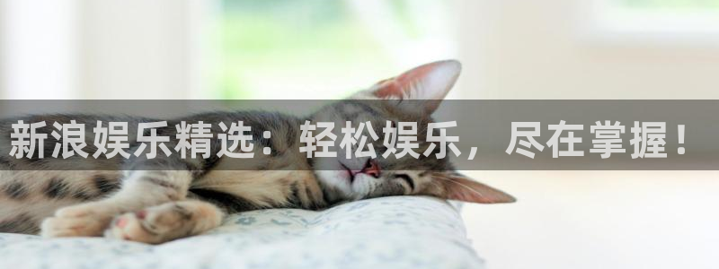天富平台麻将胡了：新浪娱乐精选：轻松娱乐，尽在掌握！