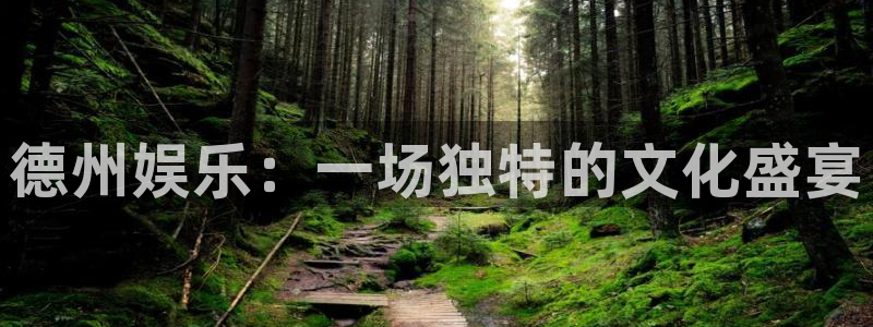 天富平台平台官网入口下载：德州娱乐：一场独特的文化盛宴