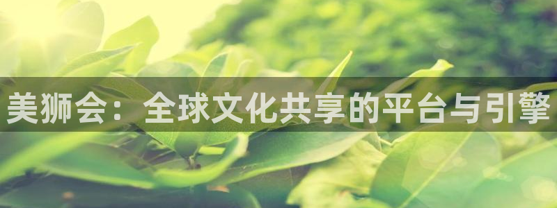 天富平台体育注册平台：美狮会：全球文化共享的平台与引擎