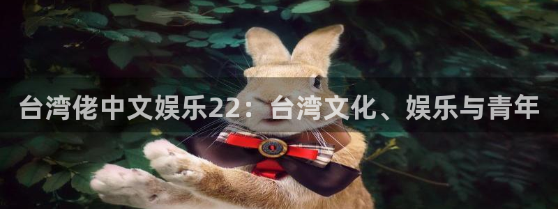 天富平台体育2官网入口：台湾佬中文娱乐22：台湾文化、娱乐与青年