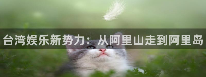 天富平台注册：台湾娱乐新势力：从阿里山走到阿里岛