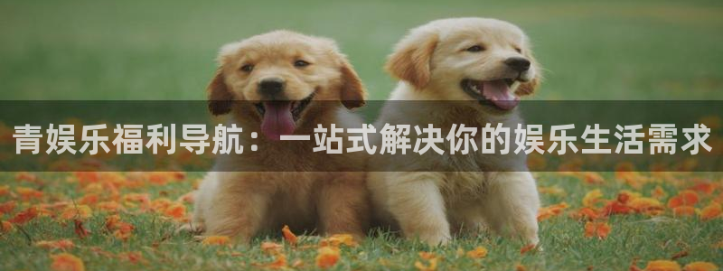 天富平台5注册：青娱乐福利导航：一站式解决你的娱乐生活需求