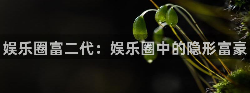 天富平台加拿大app预测：娱乐圈富二代：娱乐圈中的隐形富豪