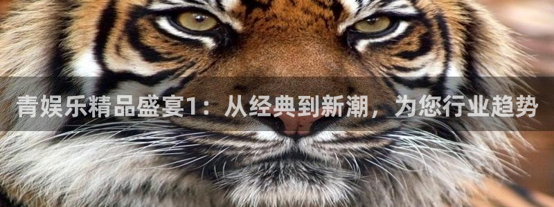 天富平台放水时间：青娱乐精品盛宴1：从经典到新潮，为您行业趋势