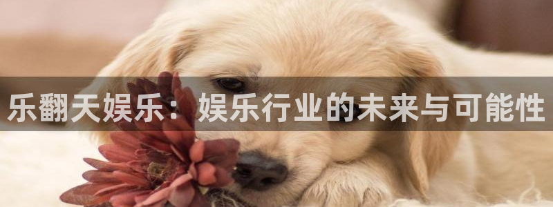 天富平台vip麻将胡了：乐翻天娱乐：娱乐行业的未来与可能性