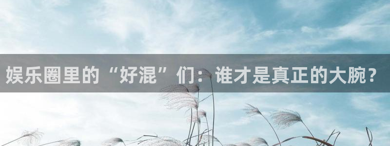 德国天富平台集团：娱乐圈里的“好混”们：谁才是真正的大腕？