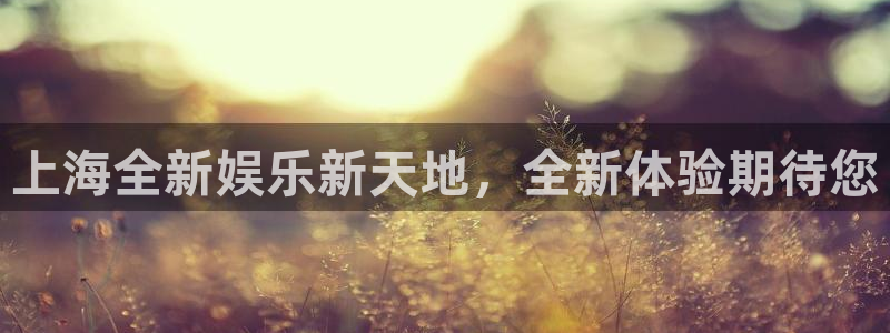 天富平台4注册：上海全新娱乐新天地，全新体验期待您