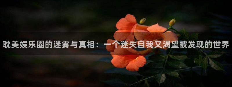 天富平台体育1招商：耽美娱乐圈的迷雾与真相：一个迷失自我又渴望被发现的世界