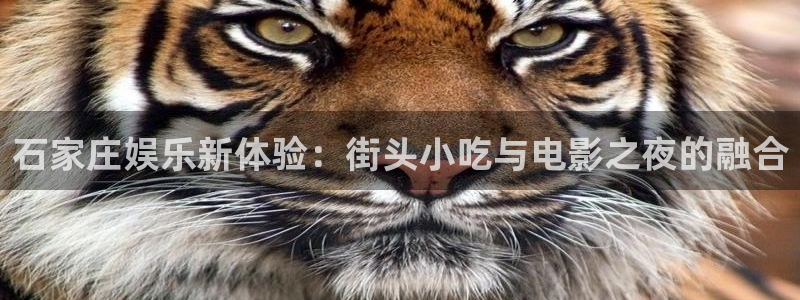 天富平台kgame：石家庄娱乐新体验：街头小吃与电影之夜的融合