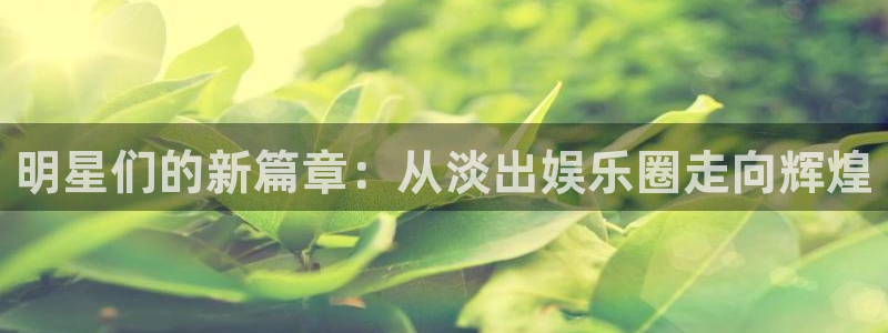 天富平台加拿大在线预测：明星们的新篇章：从淡出娱乐圈走向辉煌