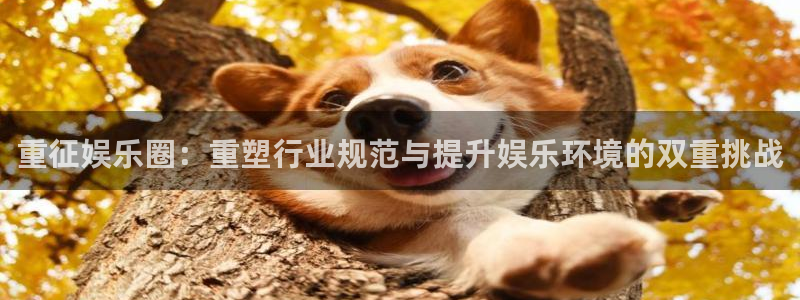 天富平台.ccm：重征娱乐圈：重塑行业规范与提升娱乐环境的双重挑战