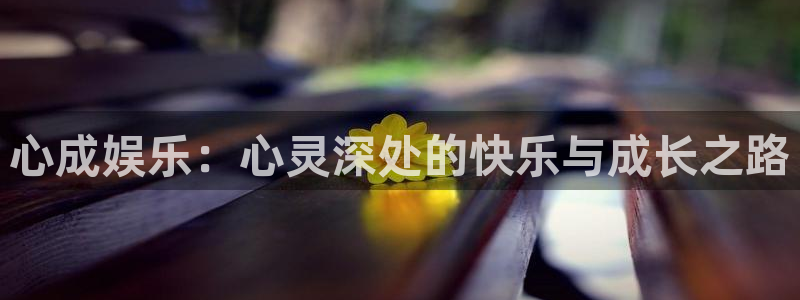天富平台体育和杏耀是哪个公司的：心成娱乐：心灵深处的快乐与成长之路