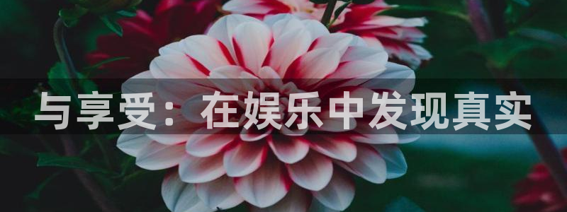 天富平台游戏官网版：与享受：在娱乐中发现真实