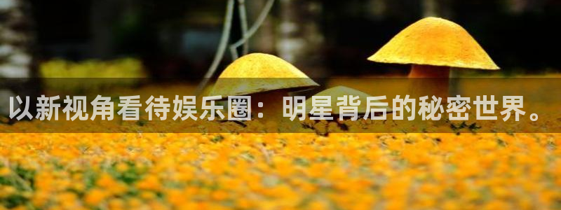 天富平台登录：以新视角看待娱乐圈：明星背后的秘密世界。