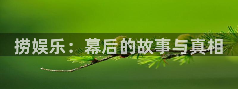 天富平台平台注册：捞娱乐：幕后的故事与真相